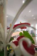 Mikes Kanarium Hotel