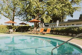 El Bonita Motel