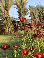 Hotel Colores del Arenal