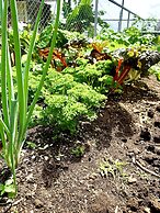 Hotel Colores del Arenal