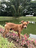 Hotel Colores del Arenal