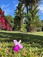 Hotel Colores del Arenal