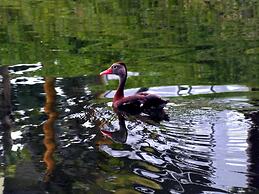 Hotel Colores del Arenal