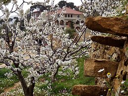 Cherry Blossom Boutique Hotel