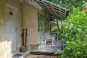 Trikora Beach Club & Resort