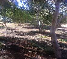 William Creek Camp Ground & Units