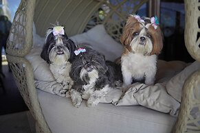 Cliffside Luxury Inn