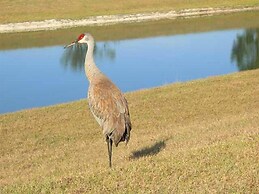 Orlando and Kissimmee Town homes by MyOrlandoStay