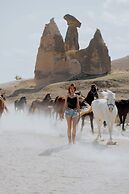 Gamirasu Cave Hotel - Special Class