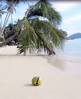 Sibaja Palms Sunset Beach Luxury Villa