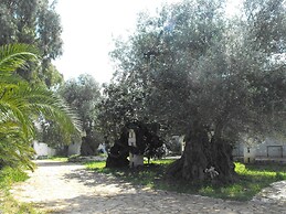 Masseria La Grave