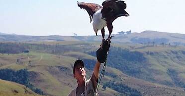 Antbear Drakensberg Lodge