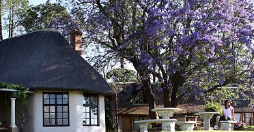 Antbear Drakensberg Lodge