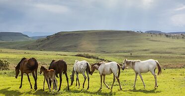 Antbear Drakensberg Lodge