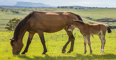 Antbear Drakensberg Lodge