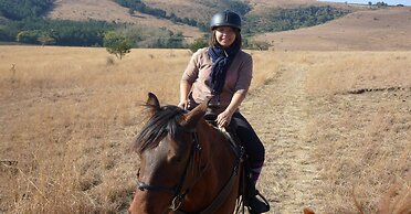 Antbear Drakensberg Lodge