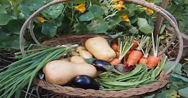 Antbear Drakensberg Lodge