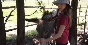 Antbear Drakensberg Lodge