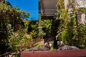 Boutique Hotel Marlin's