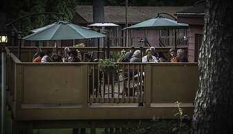 Silver Spruce Resort