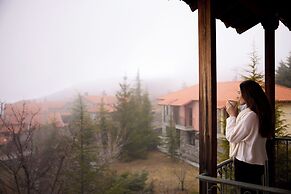 Domotel Neve Mountain Resort & Spa