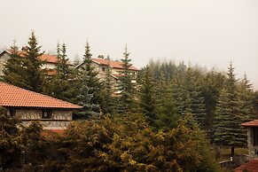 Domotel Neve Mountain Resort & Spa