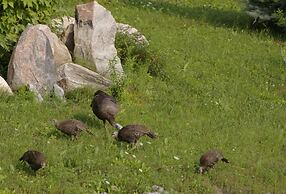 Our Valley View Bed & Breakfast