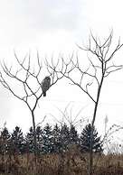 Our Valley View Bed & Breakfast