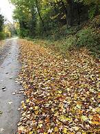 Our Valley View Bed & Breakfast