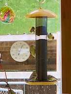 Our Valley View Bed & Breakfast