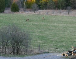 Our Valley View Bed & Breakfast