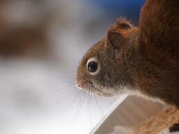 Our Valley View Bed & Breakfast