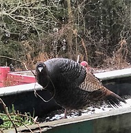 Our Valley View Bed & Breakfast