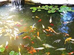 Forest Hill Bed & Breakfast