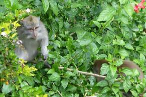 Wenara Bali Bungalow