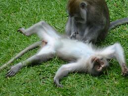 Wenara Bali Bungalow