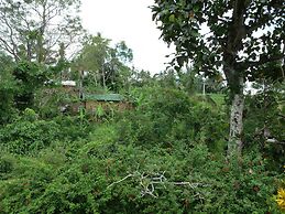 Wenara Bali Bungalow