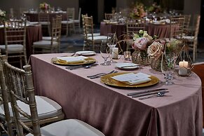 Hilton Garden Inn Rochester/University & Medical Center