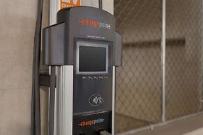 Hilton Garden Inn Rochester/University & Medical Center