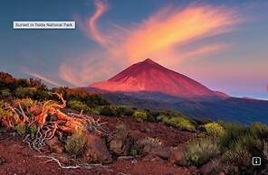 Rok Plaza - Only Adults