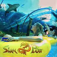 Rok Plaza - Only Adults