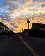 Daunt's Albatross Motel