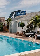 Daunt's Albatross Motel