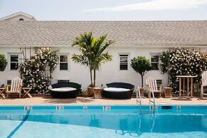 Daunt's Albatross Motel