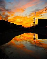 Daunt's Albatross Motel