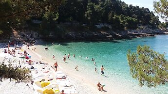 Boutique Hotel Villa Vulin
