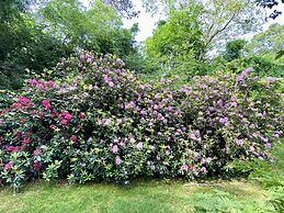 3 Waves Bed & Breakfast