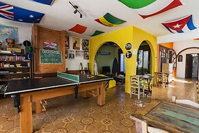 Geckos Hostel
