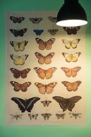 Signor Suite Colosseo