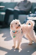 The Tides Oceanview Inn and Cottages